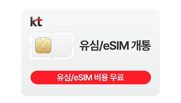 KT 유심
